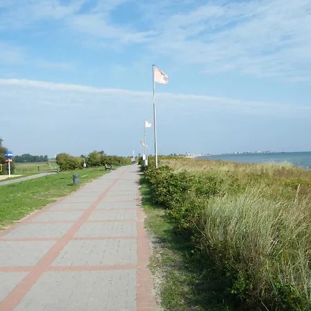 Schwalbennest